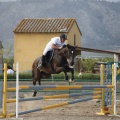 Poni club