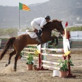 Poni club