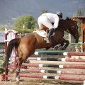 Poni club