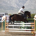 Poni club
