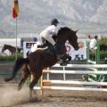 Poni club