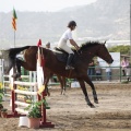 Poni club