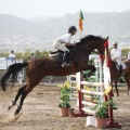 Poni club
