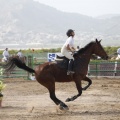 Poni club