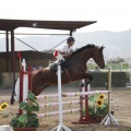 Poni club