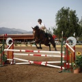 Poni club