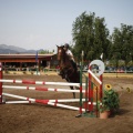 Poni club