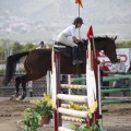 Poni club