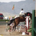 Poni club