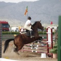 Poni club
