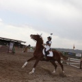 Poni club