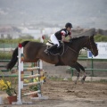 Poni club
