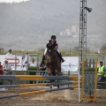 Poni club
