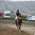 Poni club