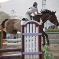 Poni club