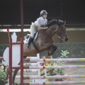 Poni club