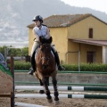 Poni club