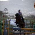 Poni club