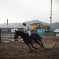 Poni club