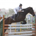 Poni club