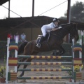 Poni club
