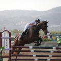 Poni club