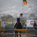 Poni club