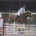 Poni club