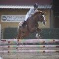 Poni club