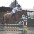Poni club