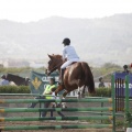 Poni club