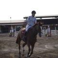 Poni club