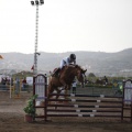 Poni club