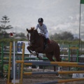 Poni club