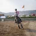Poni club