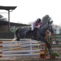 Poni club