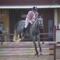 Poni club
