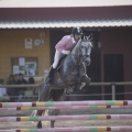 Poni club