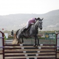 Poni club