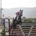 Poni club