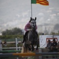 Poni club