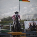 Poni club