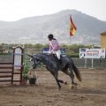Poni club