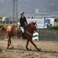 Poni club