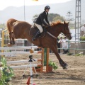 Poni club
