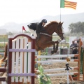 Poni club