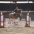 Poni club