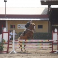 Poni club