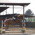 Poni club