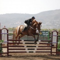 Poni club
